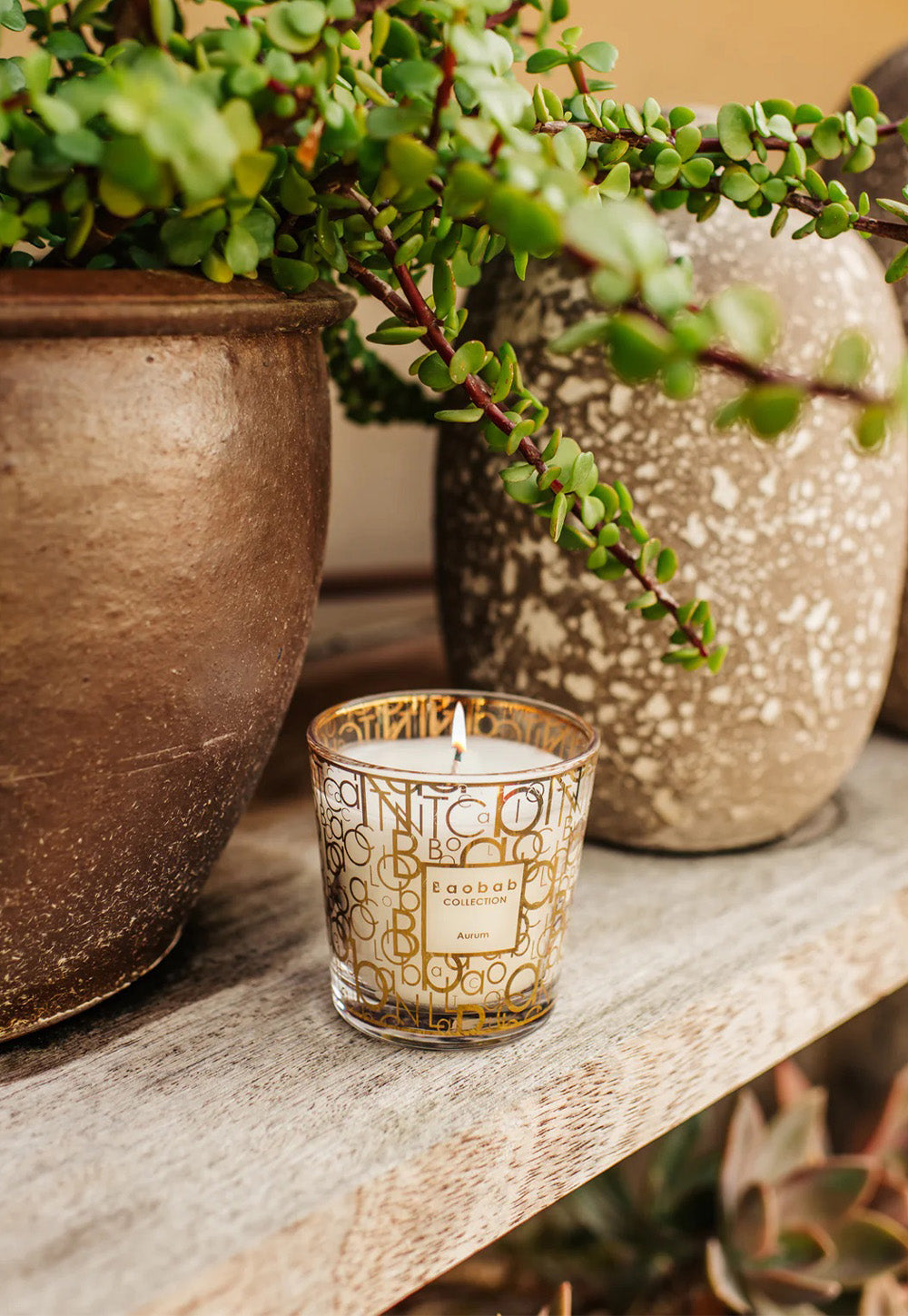 My First Baobab Aurum Candle