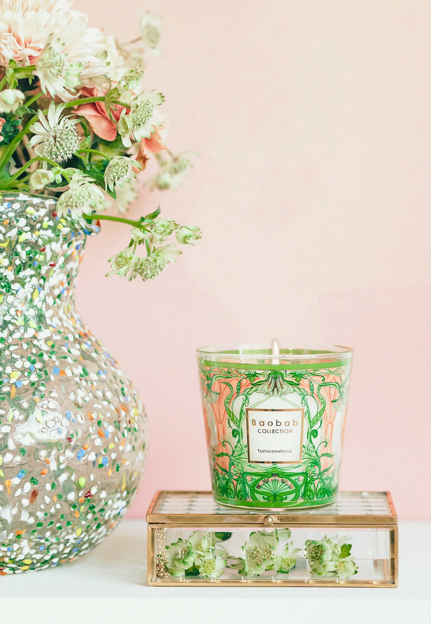 My First Baobab Tomorrowland Candle