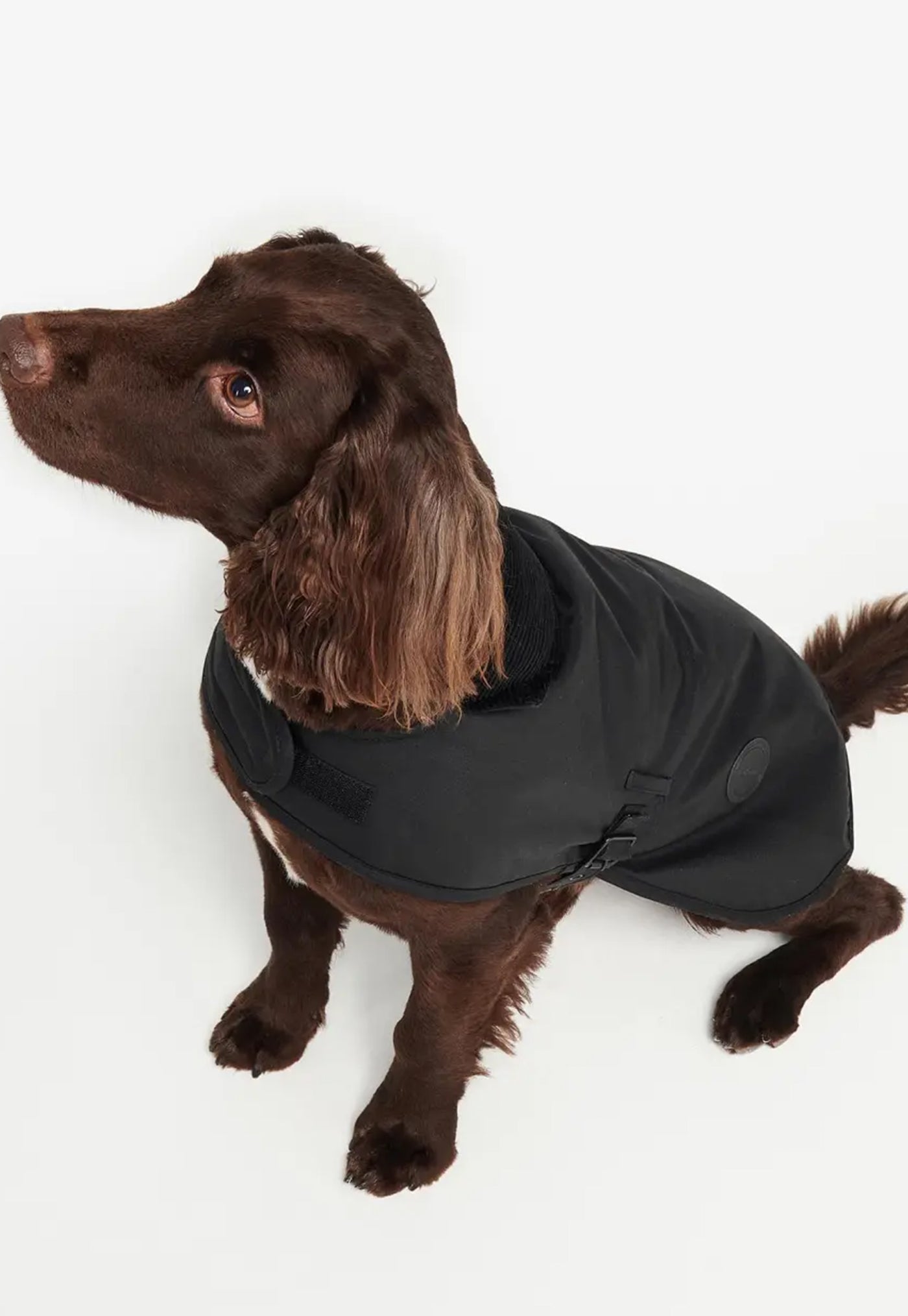 Wax Dog Coat - Black