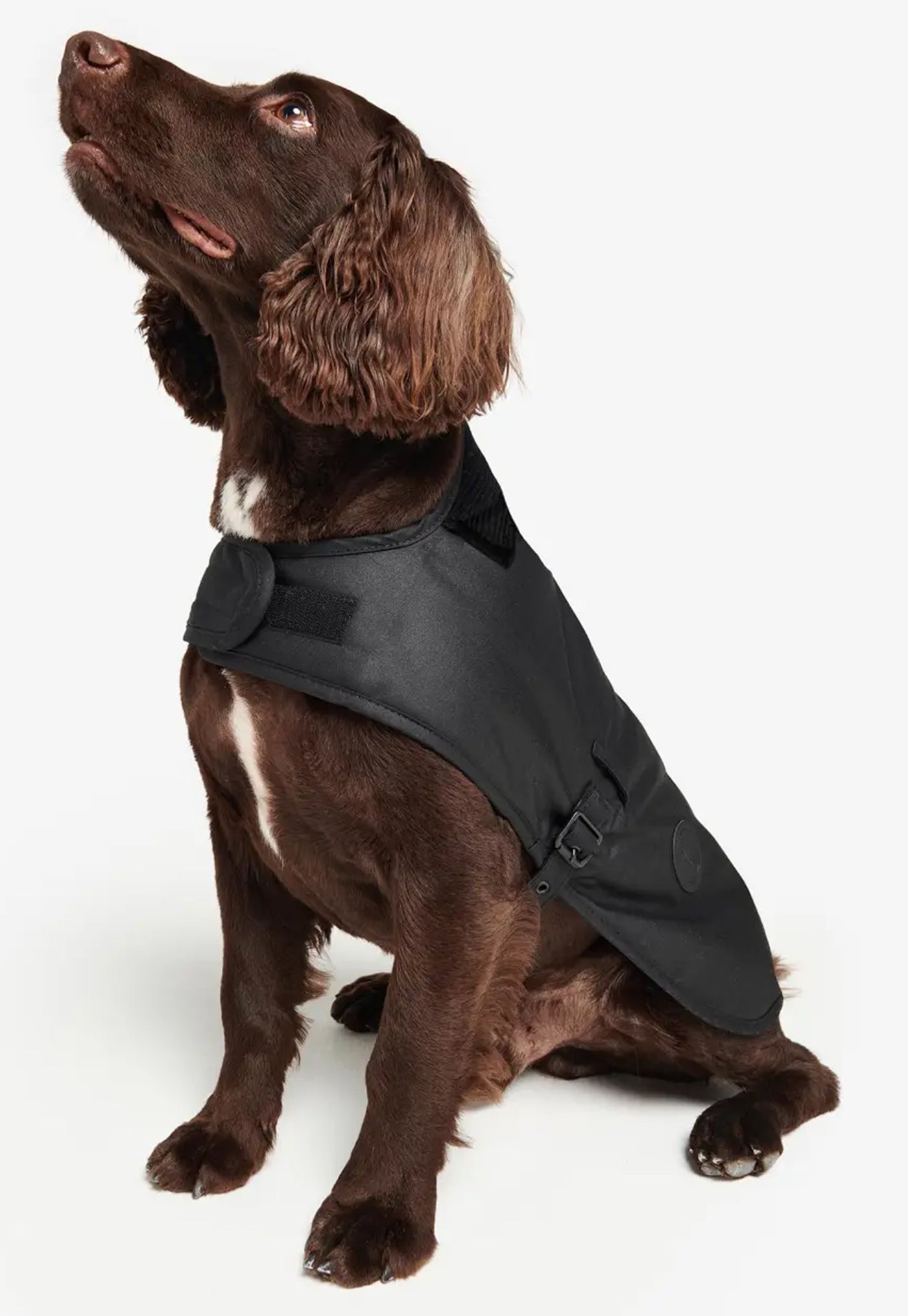 Wax Dog Coat - Black