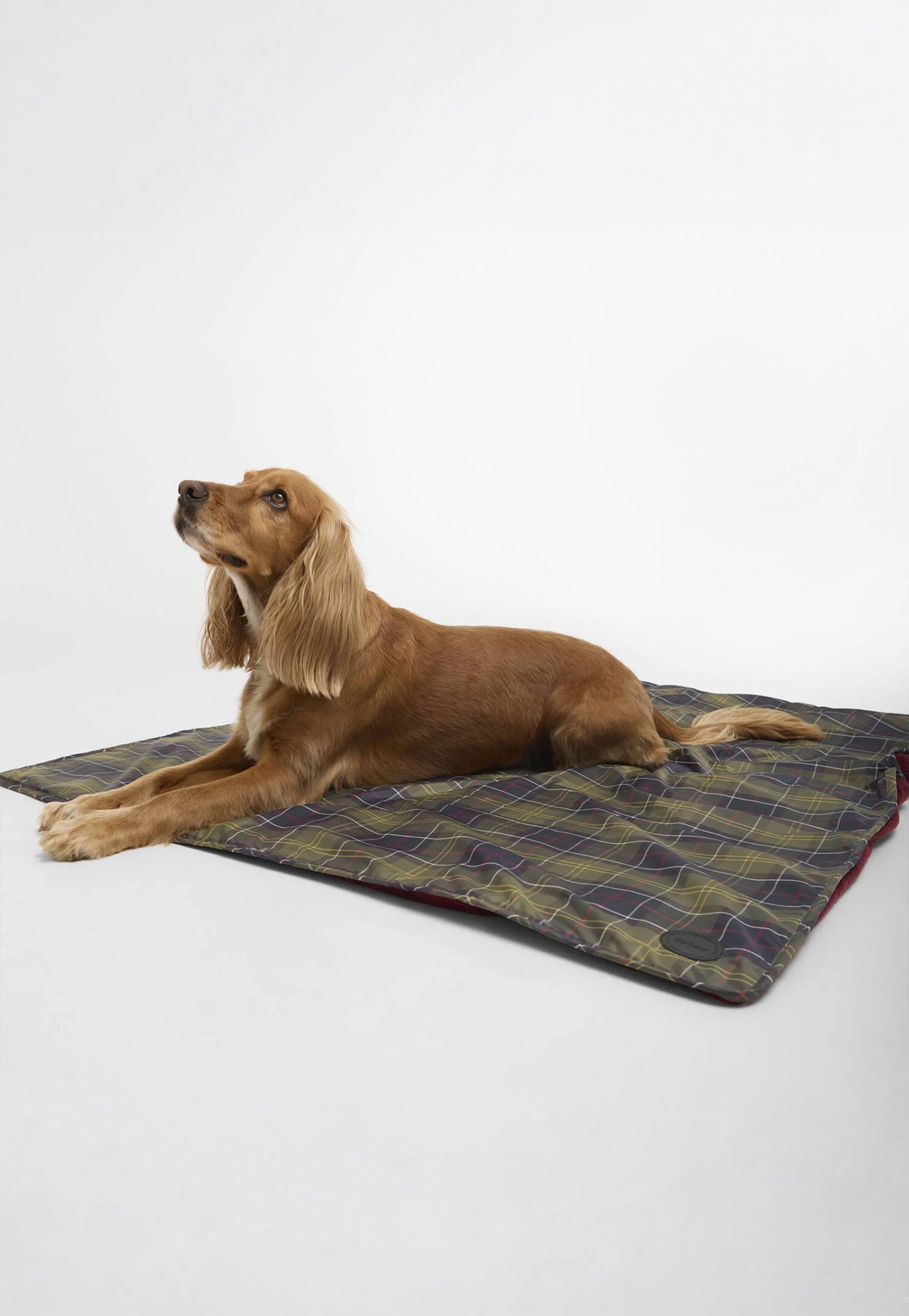 Dog Towel/Blanket - Classic Tartan/Red