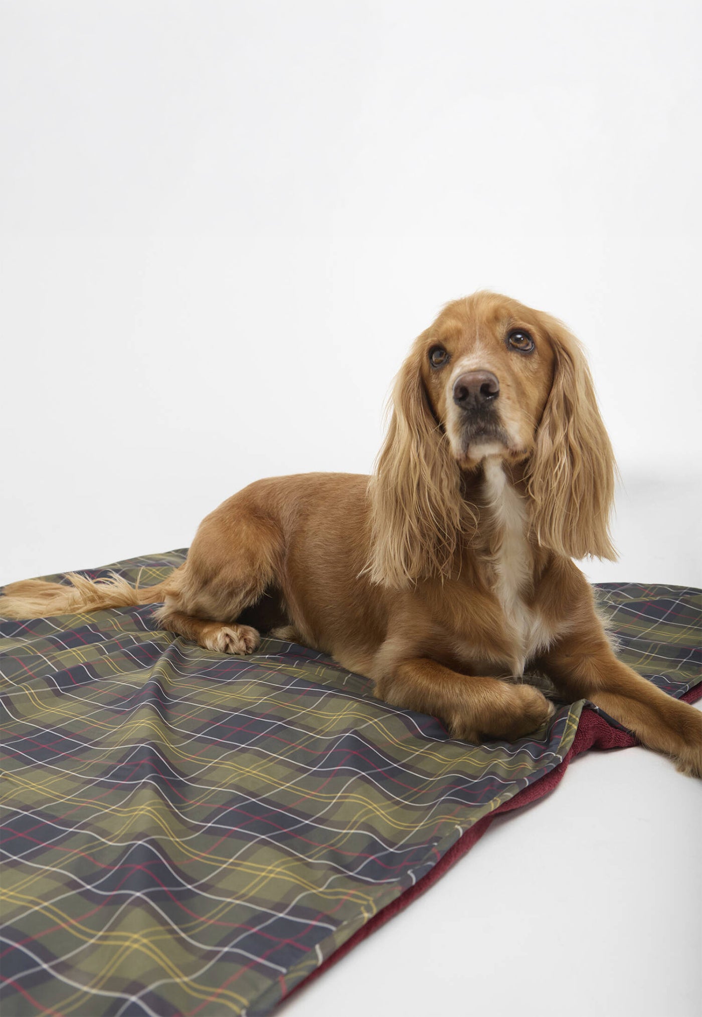 Dog Towel/Blanket - Classic Tartan/Red