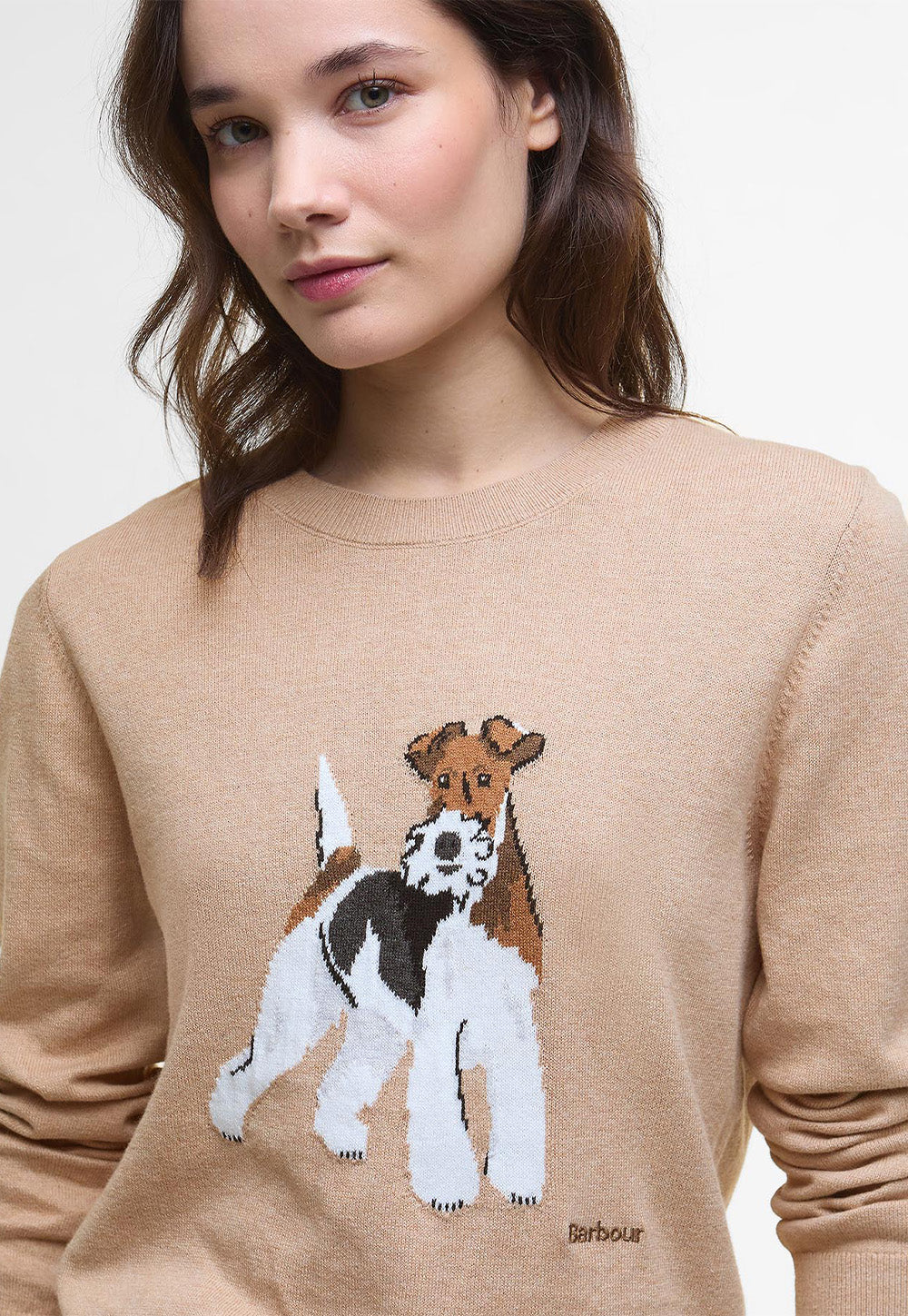 Fareham Knitted Jumper - Pale Camel