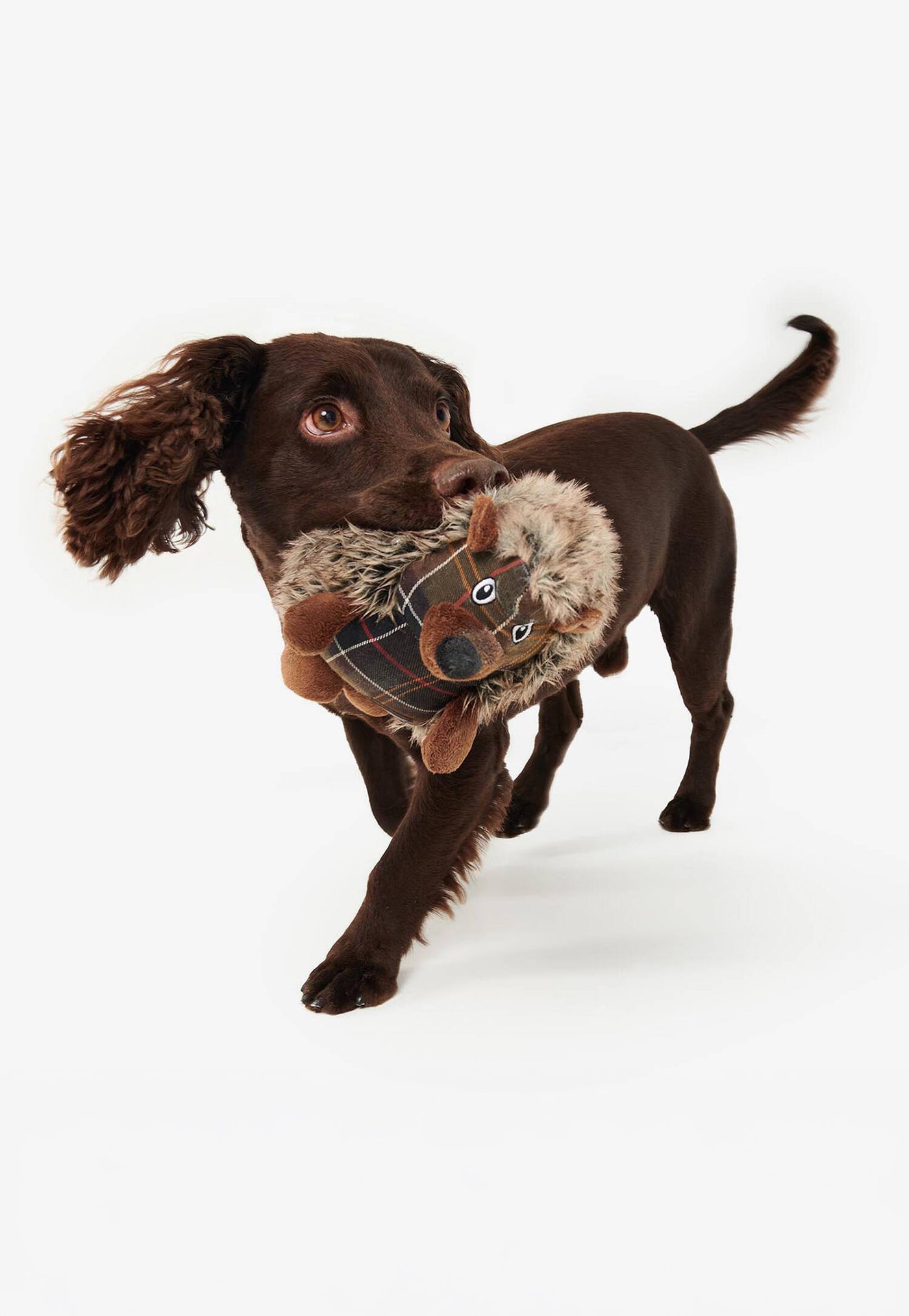 Hedgehog Dog Toy - Brown/Tartan