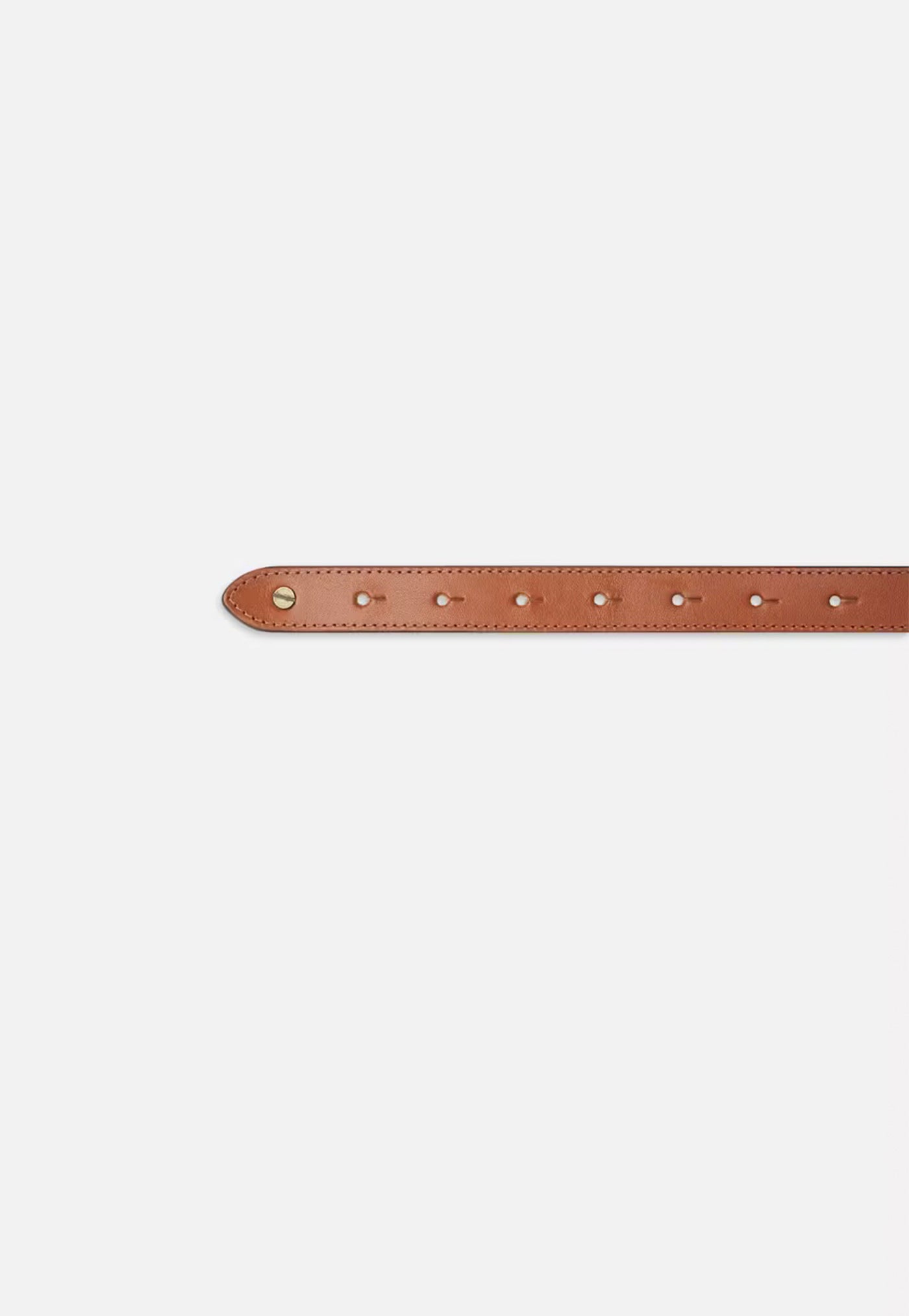 Equestrian Belt - Cognac
