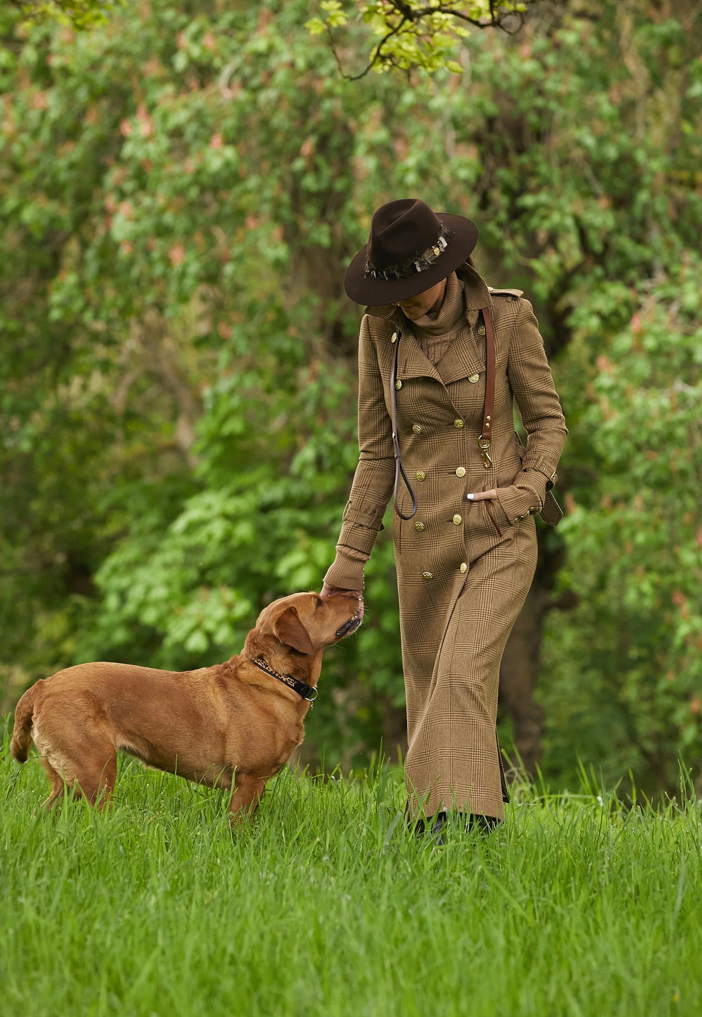 HC Classic Dog Collar - Black & Leopard Pony sold by Angel Divine