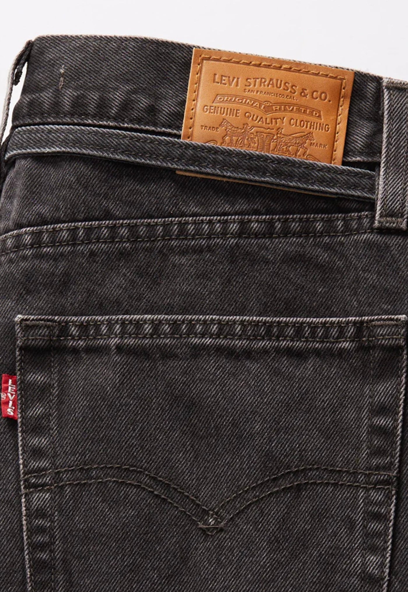 XL Straight - Influential Lady