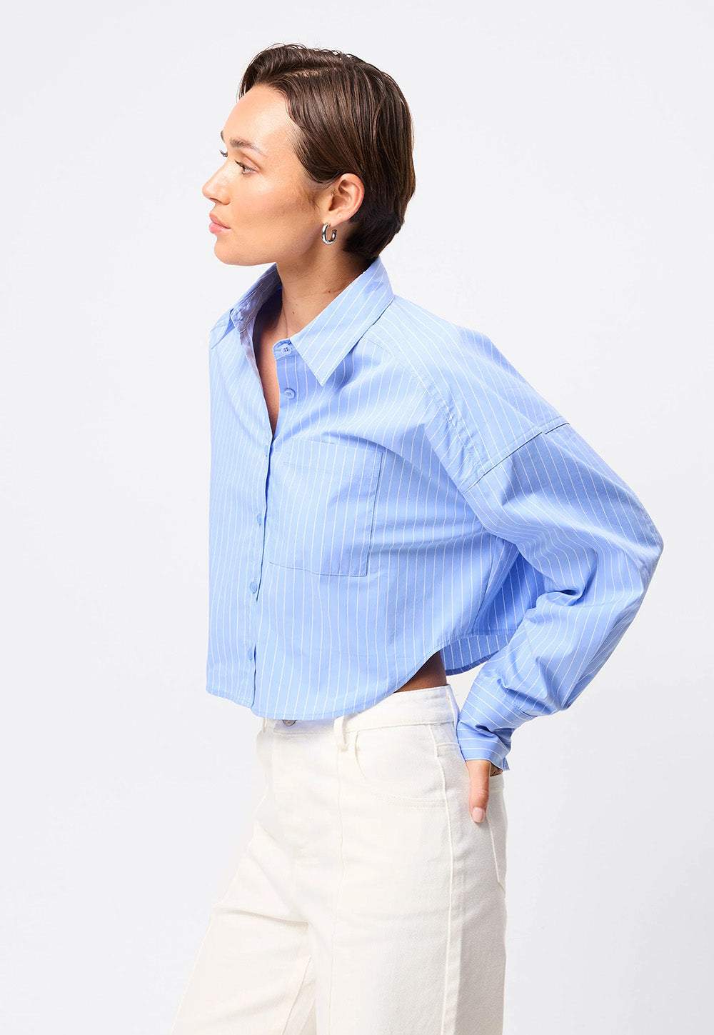 Repeat After Me Cropped Shirt - Blue Stripe