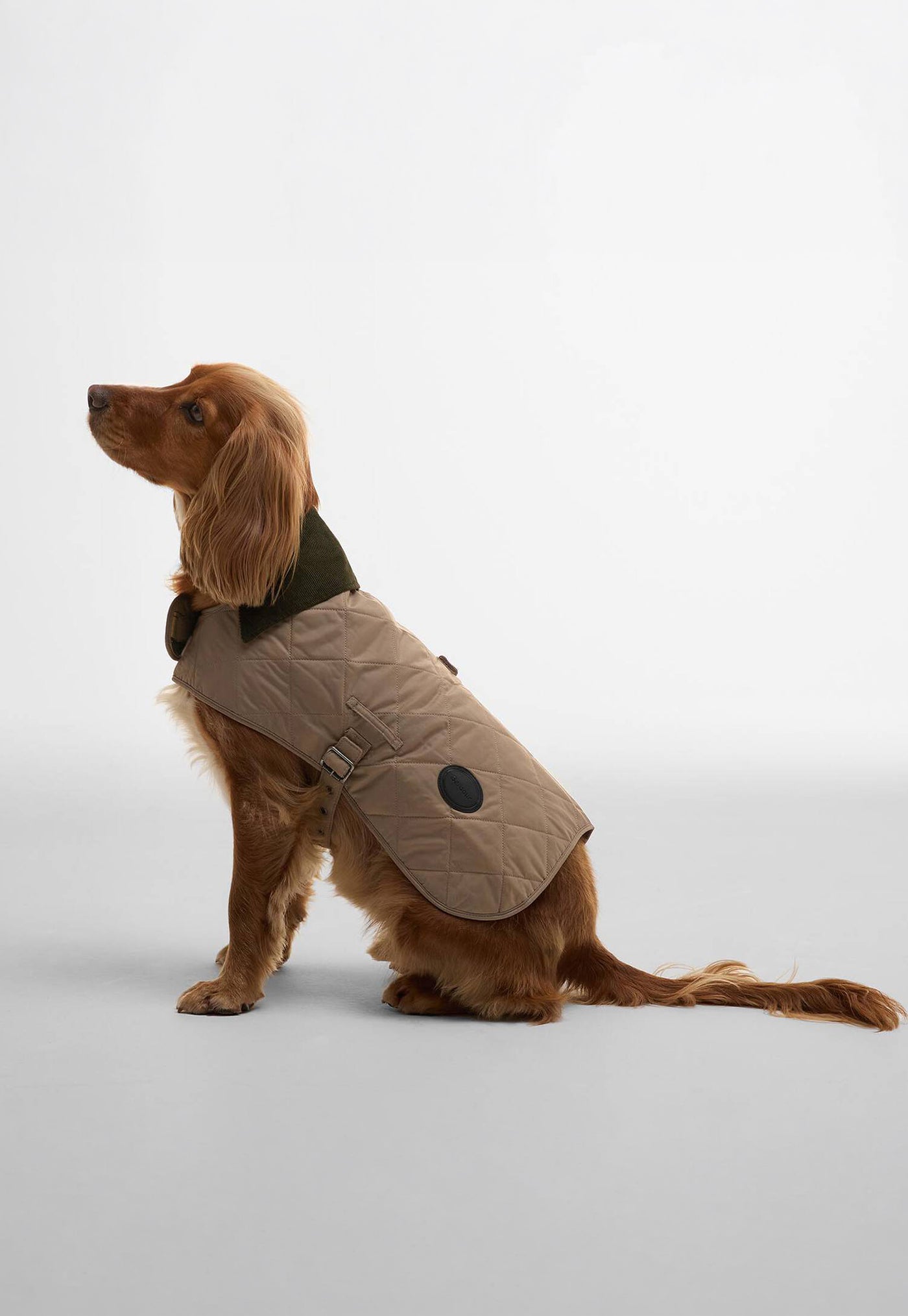 Quilted Dog Coat - Sand Dune