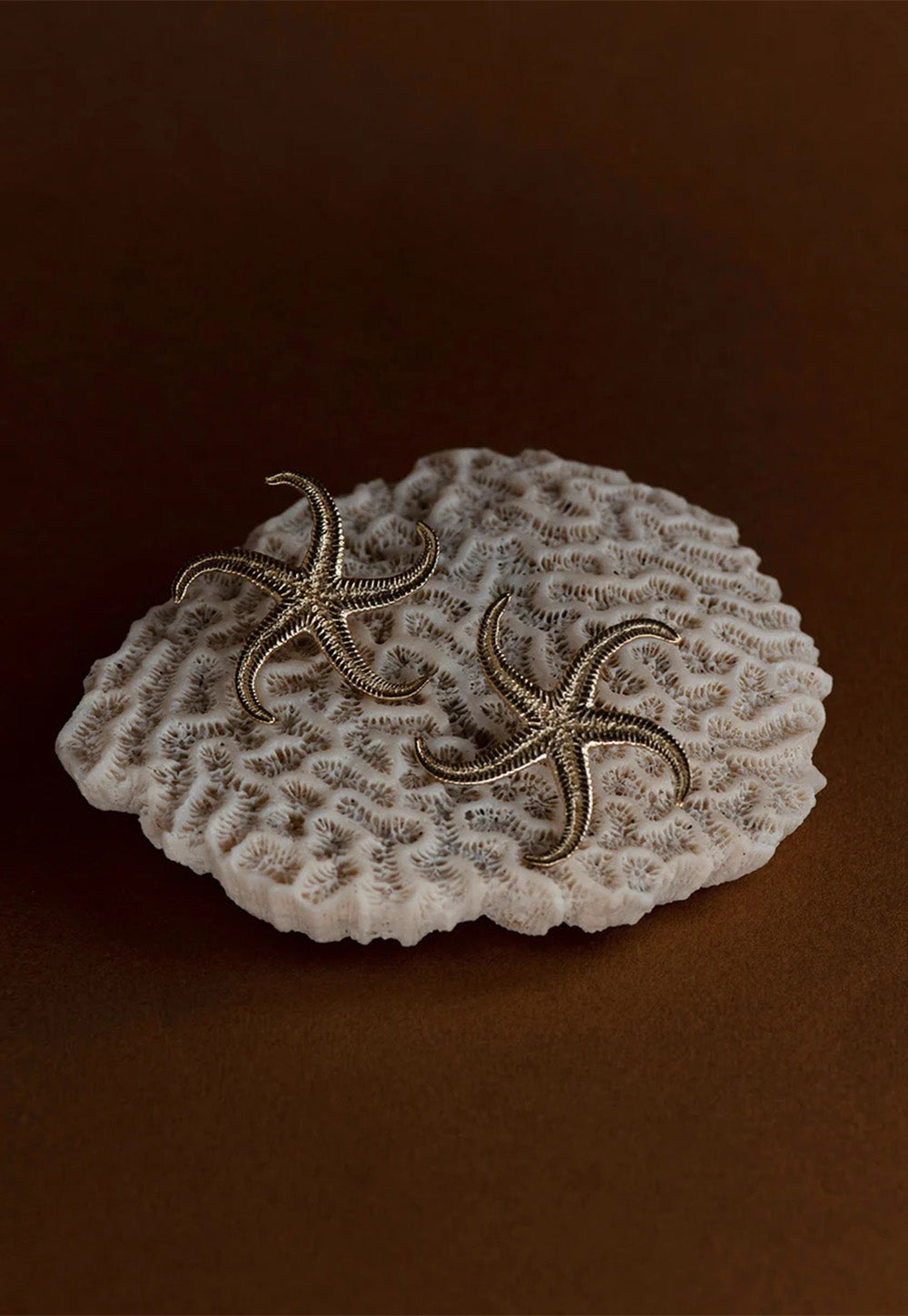 Starfish Earrings