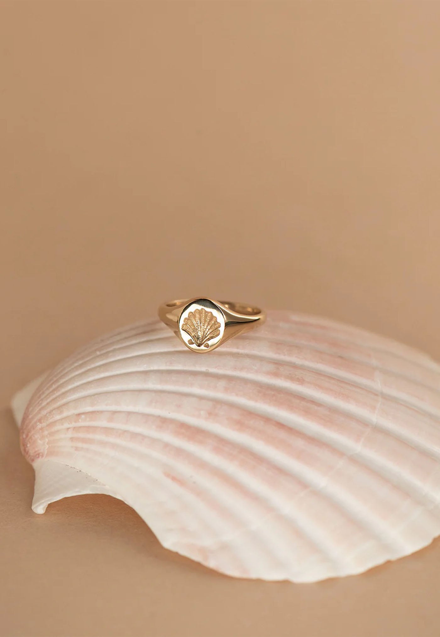 Secret Society of Shell Lovers Signet