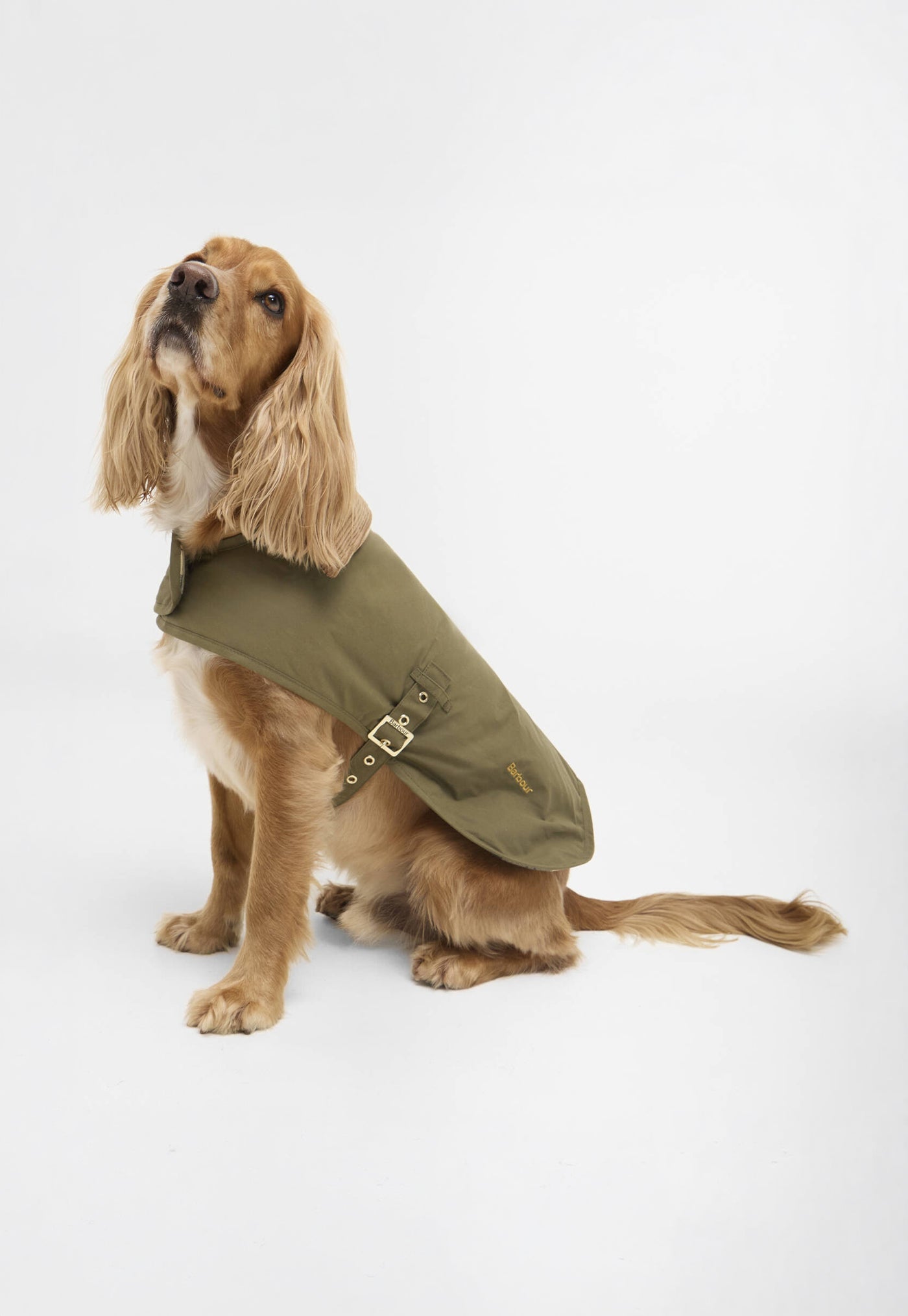 Transport Dog Coat - Dusky Green