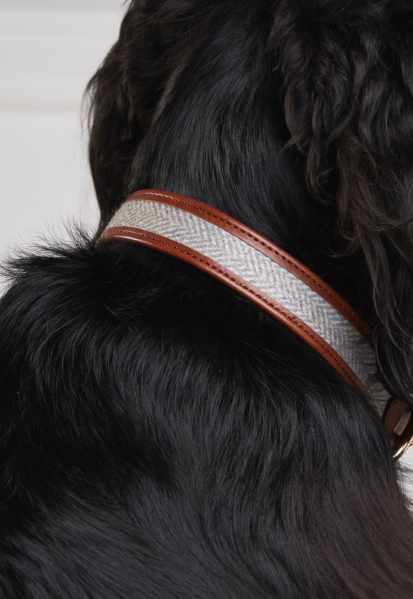 HC Classic Dog Collar - Chestnut & Tweed sold by Angel Divine