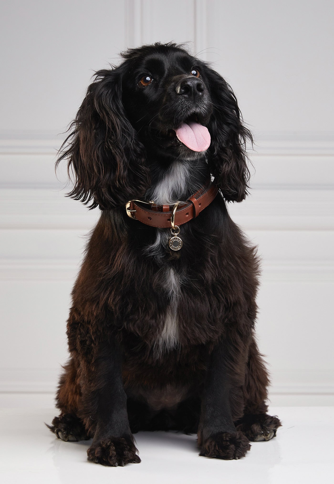 HC Classic Dog Collar - Chestnut & Tweed sold by Angel Divine