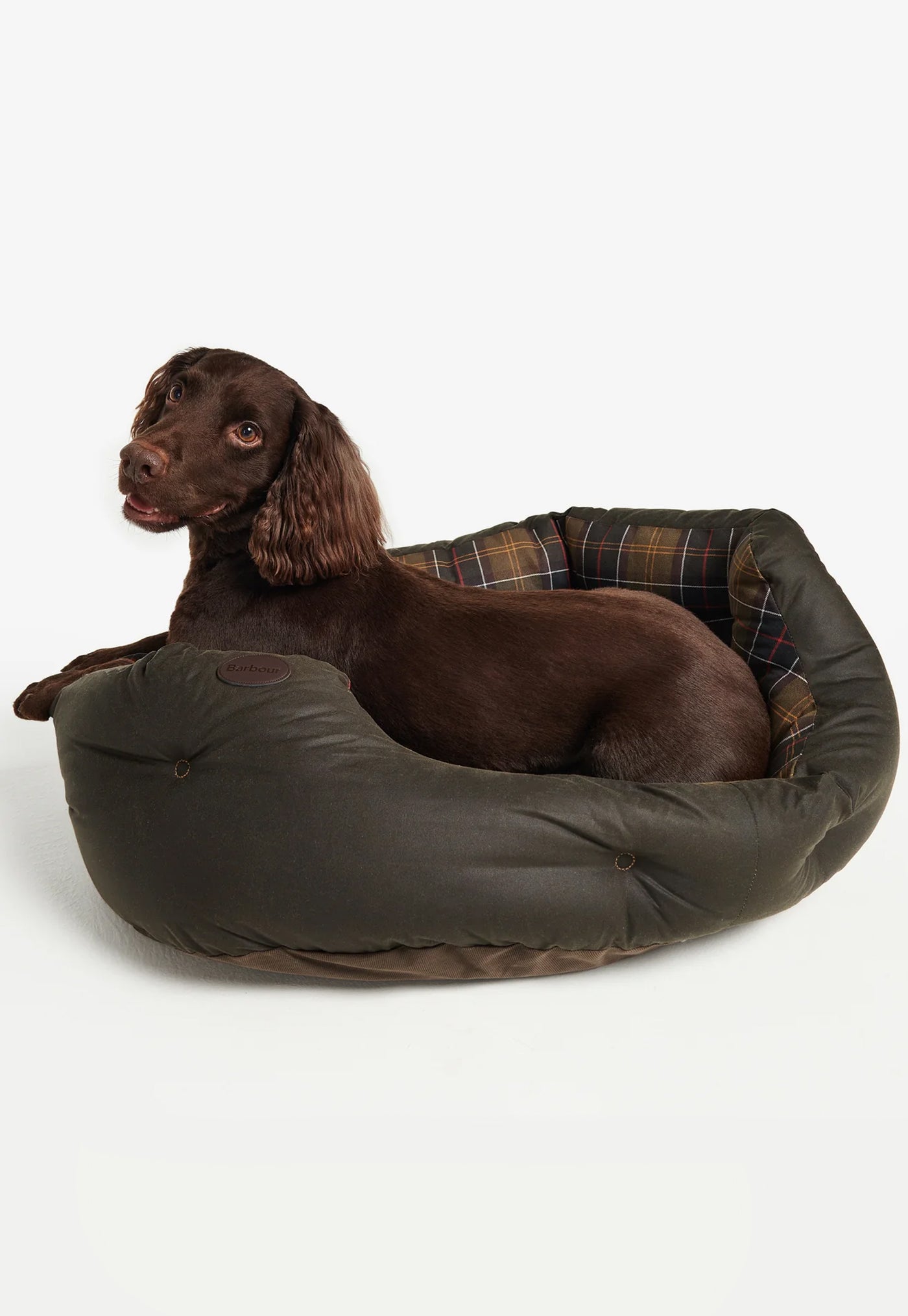Wax/Cotton Dog Bed - Classic/Olive