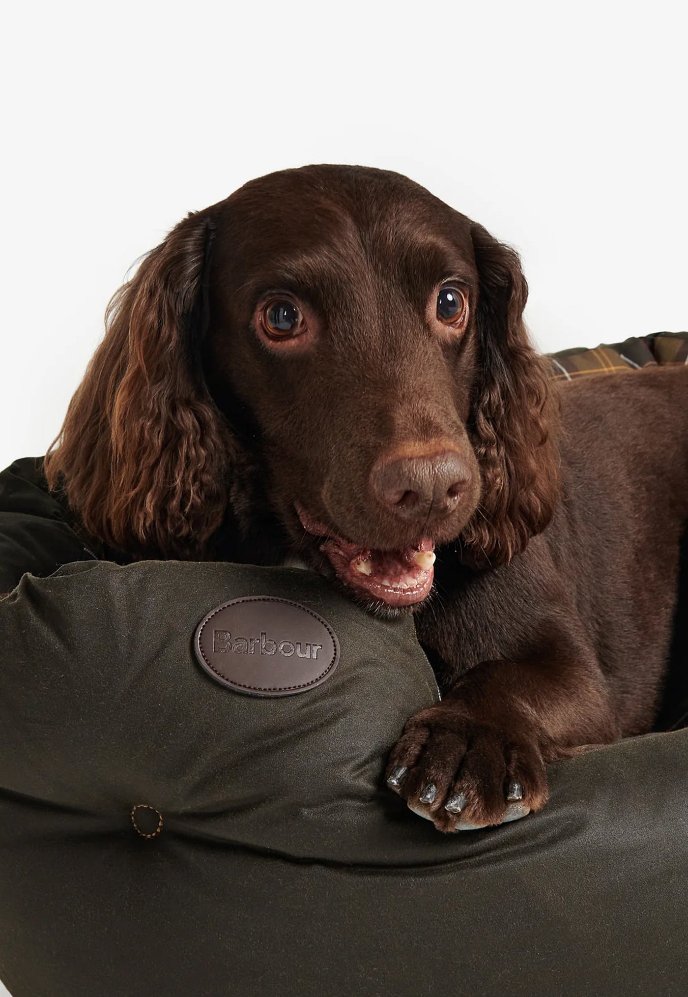 Wax/Cotton Dog Bed - Classic/Olive