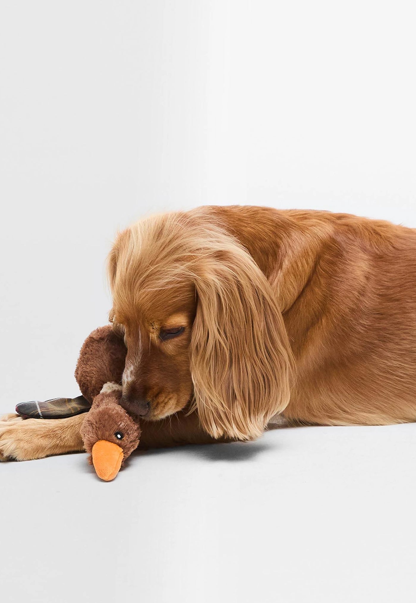 Dog Flying Duck Toy - Brown