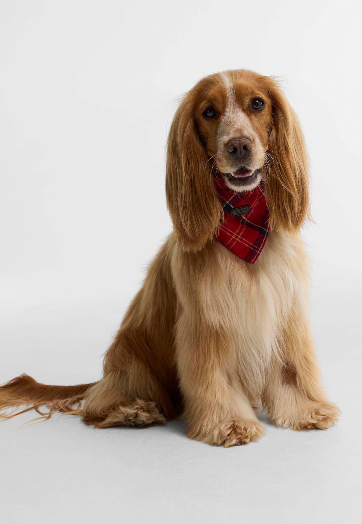 Tartan Dog Bandana - Cardinal Tartan