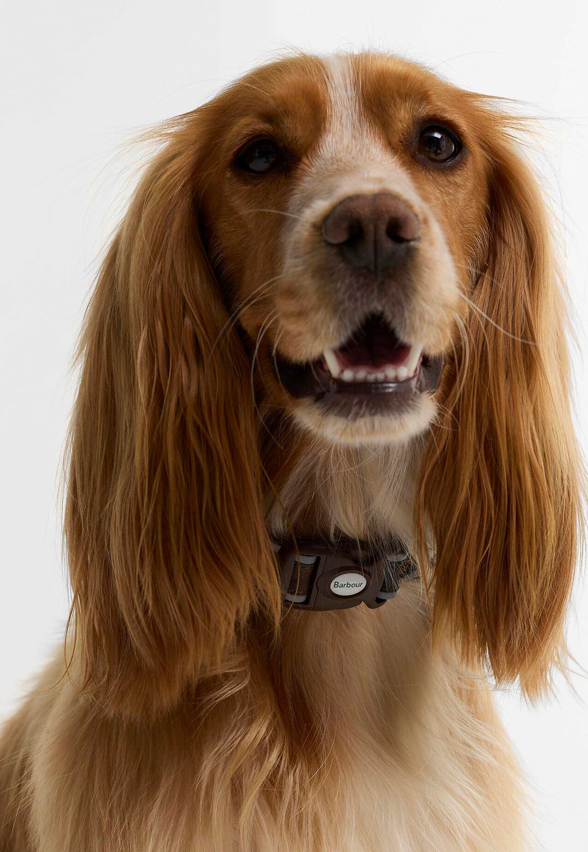Reflective Dog Collar - Classic Tartan