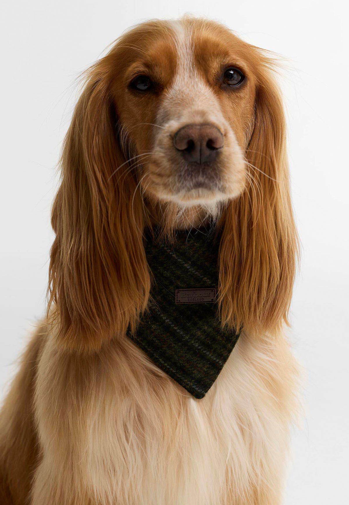 Wilken Dog Bandana - Olive Check