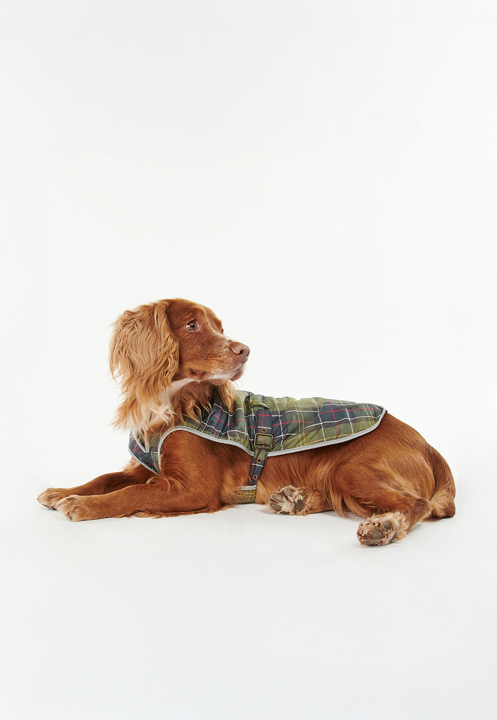 Tartan Waterproof Dog Coat - Classic