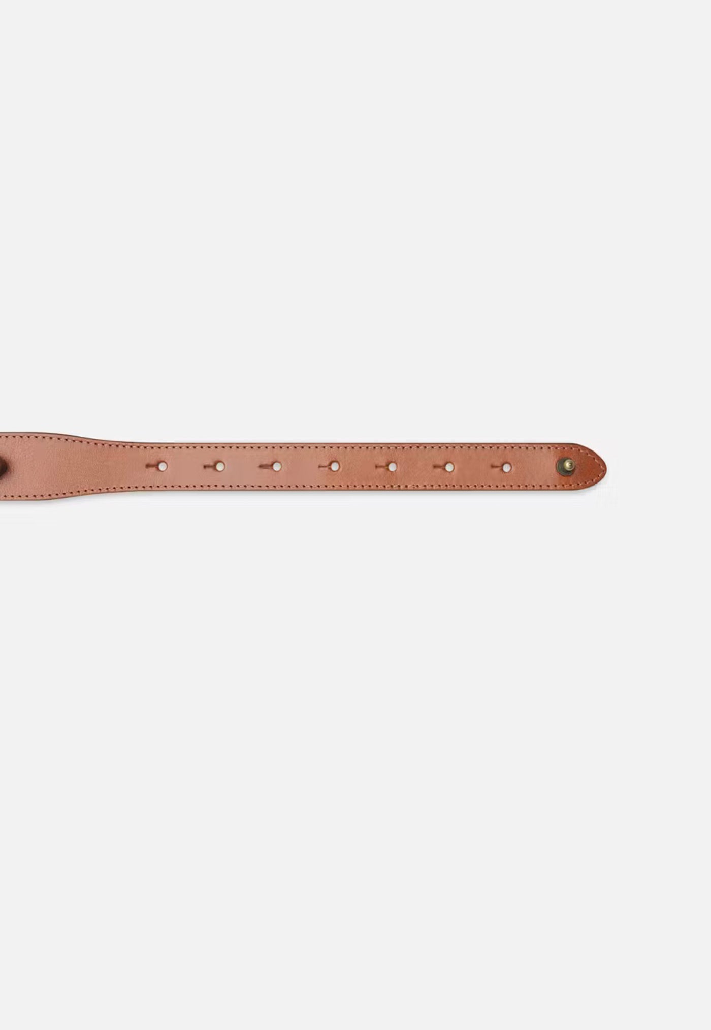 Equestrian Belt - Cognac