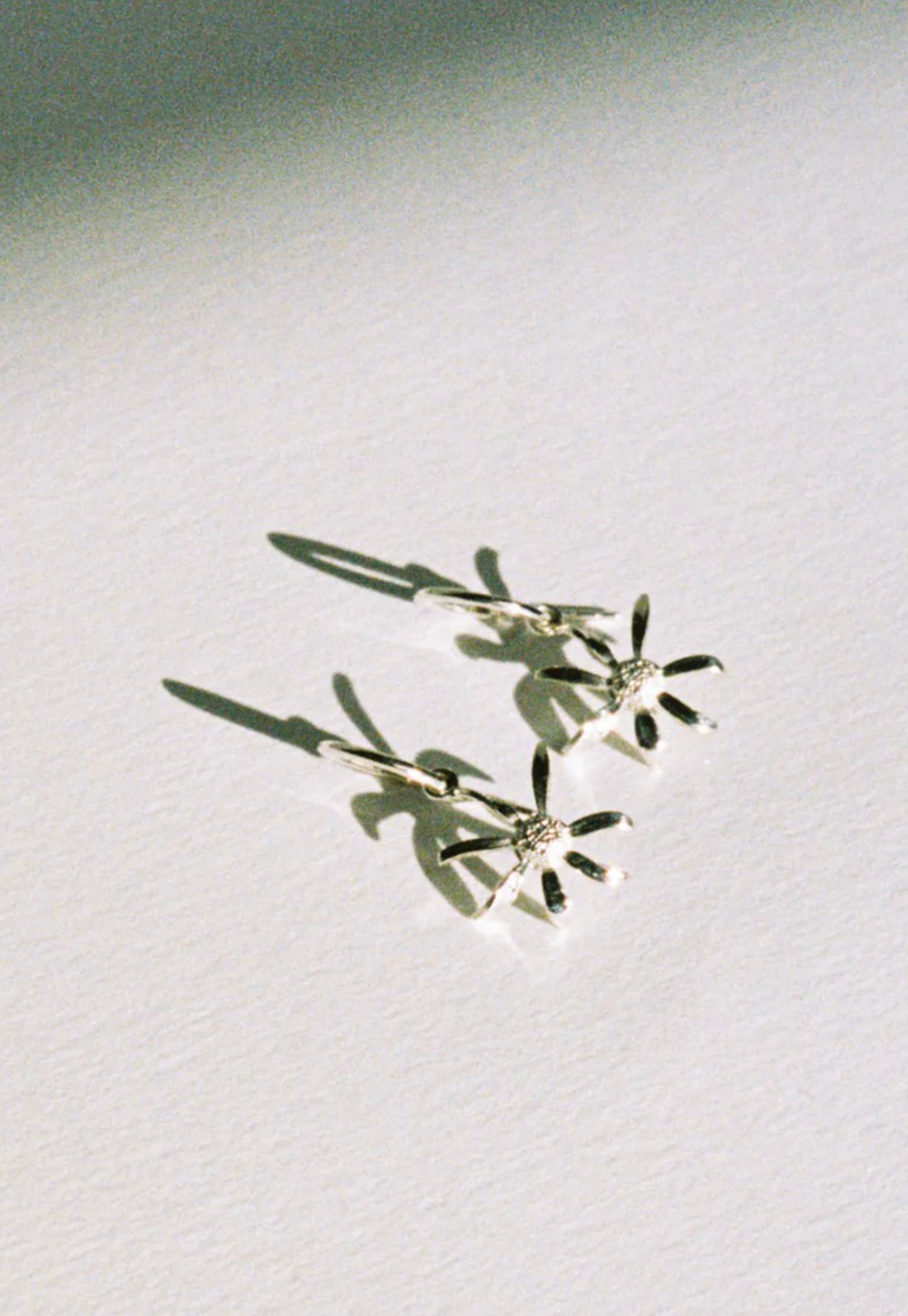 Daisy Signature Hoops