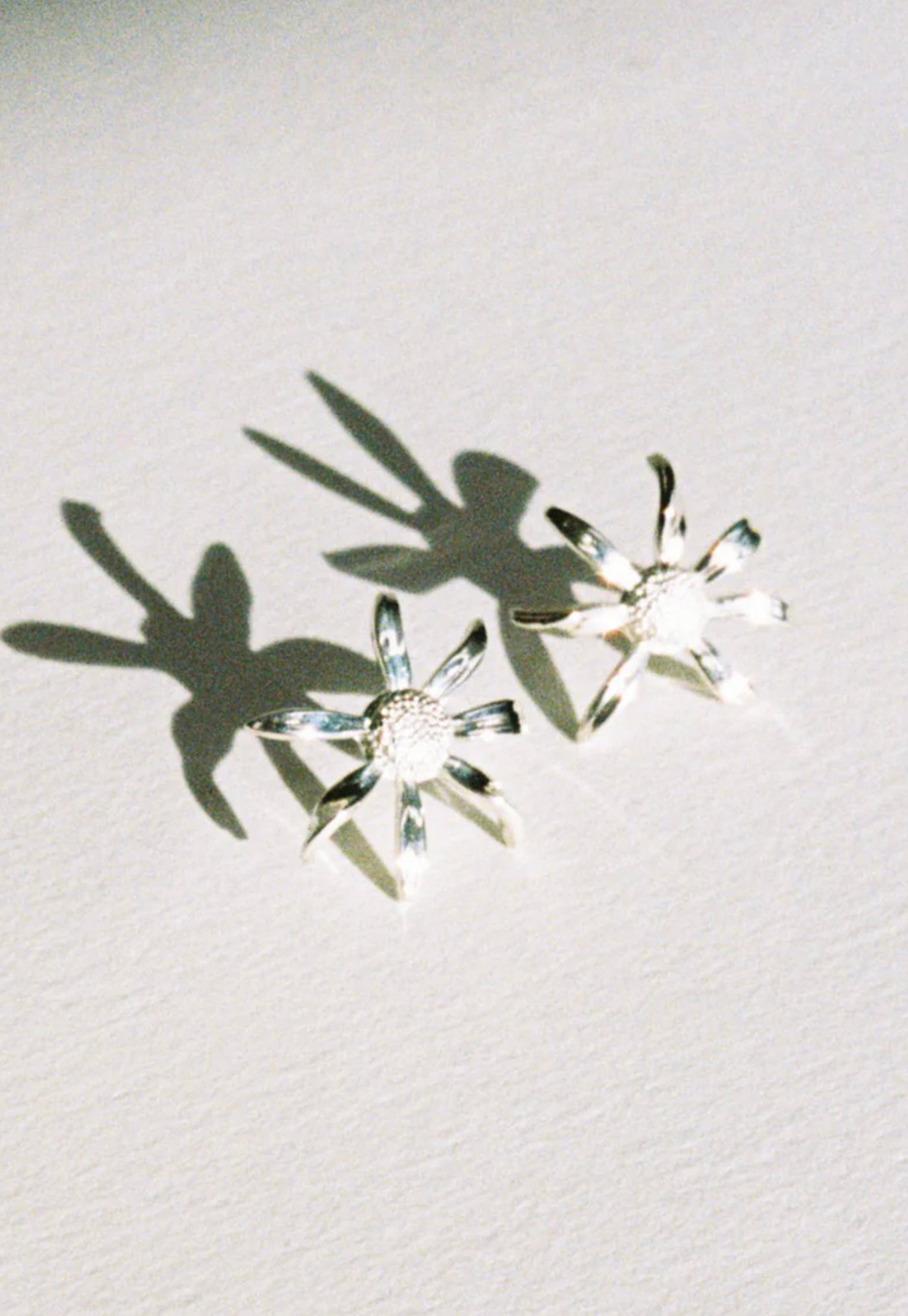 Daisy Earrings Medium