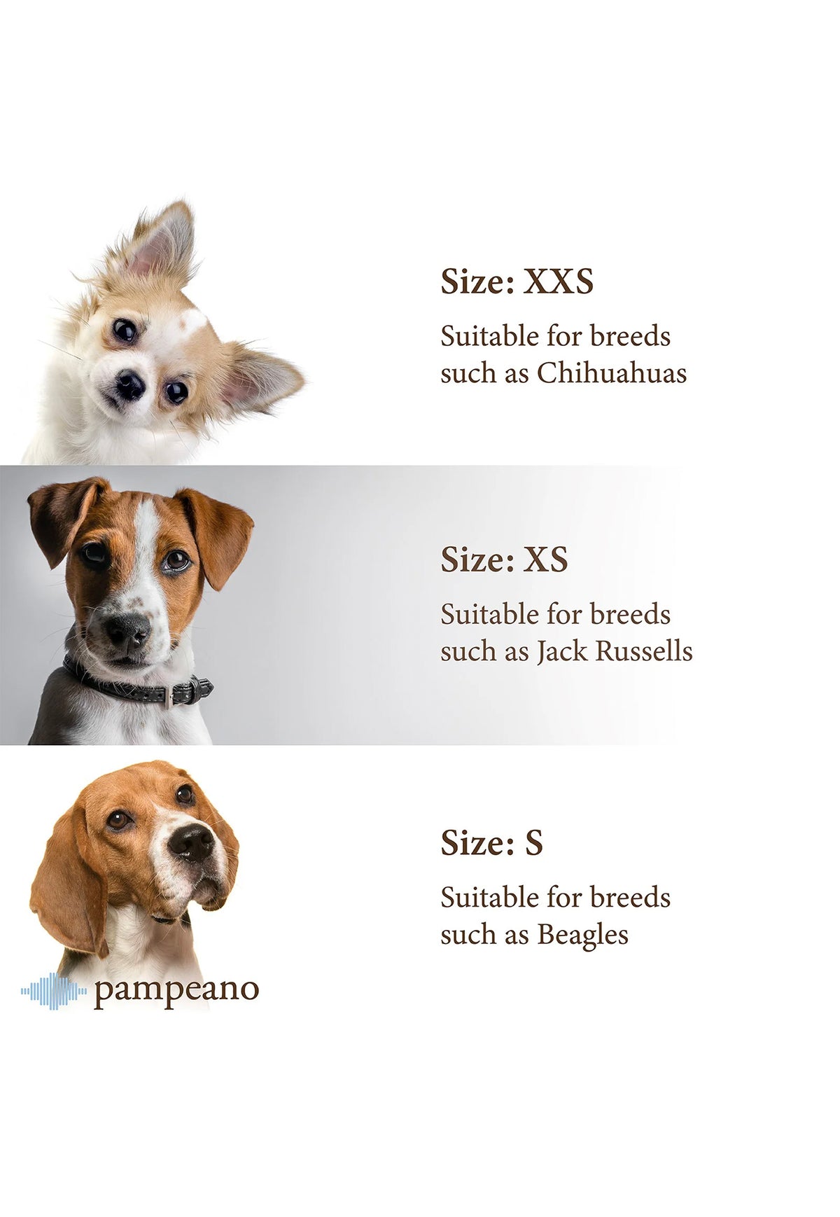 Pampa Dog Collar - Hermoso