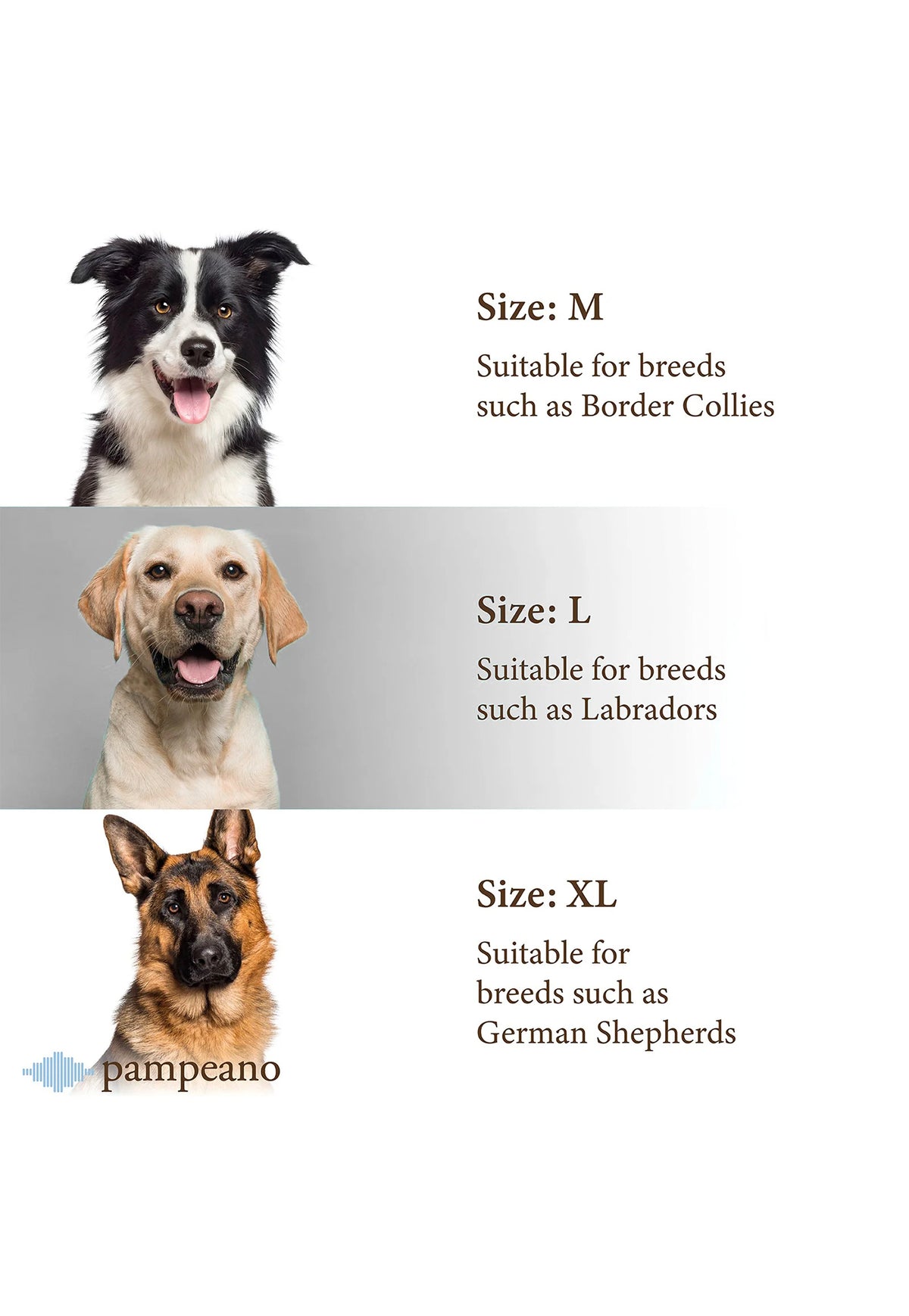 Pampa Dog Collar - Multi