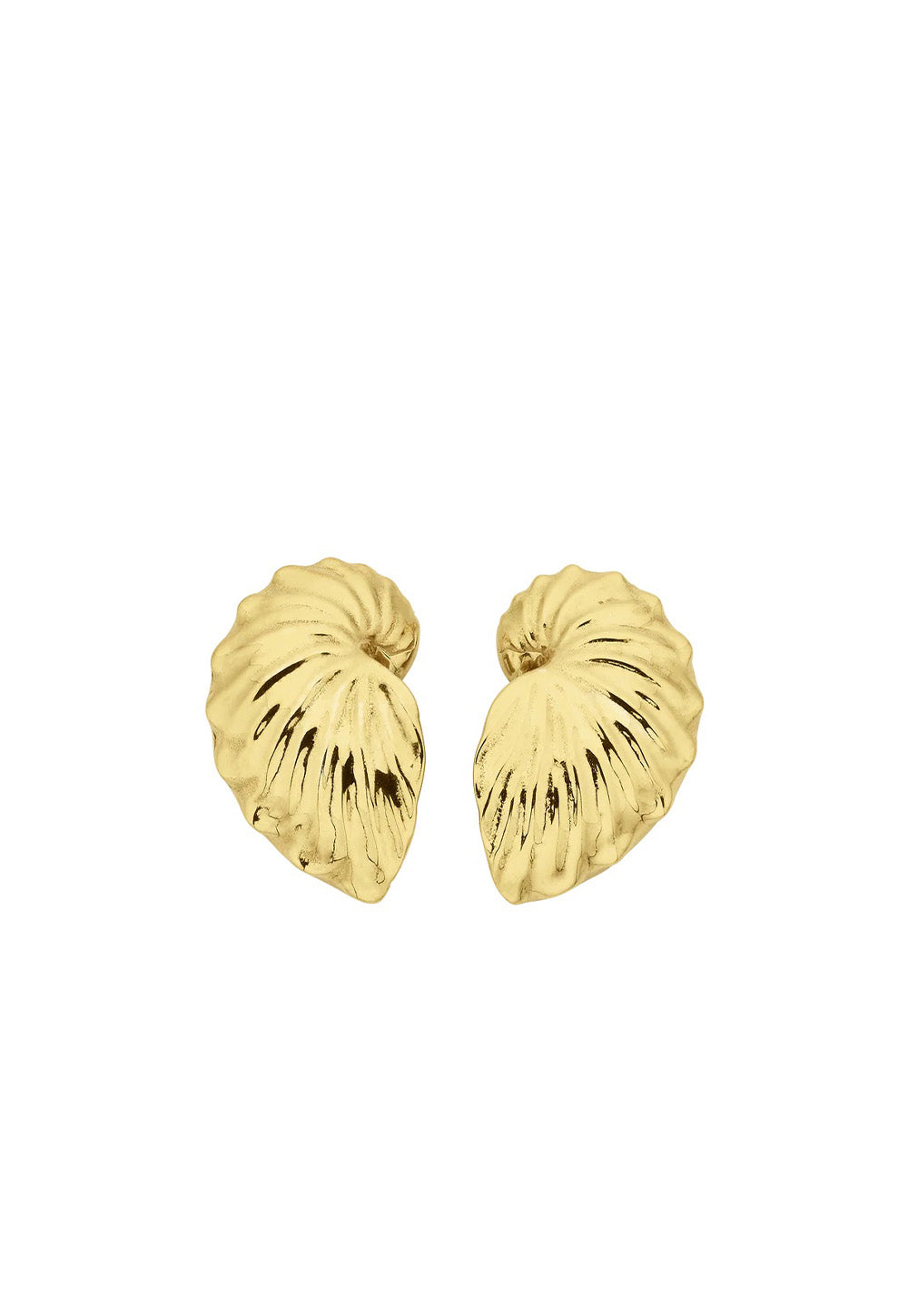 Paper Nautilus Earrings