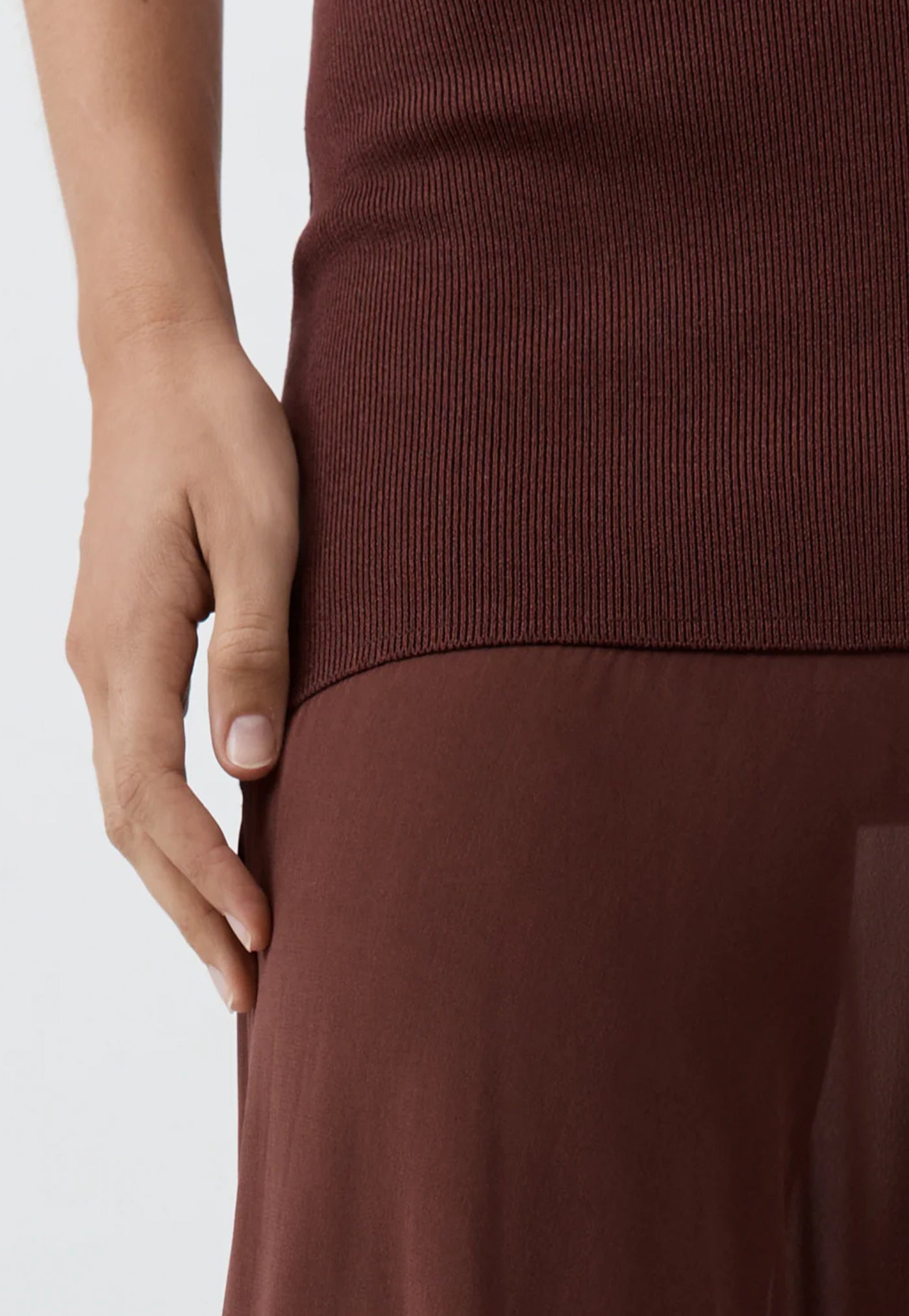 Sheer Silk Circle Hem Dress - Liqueur