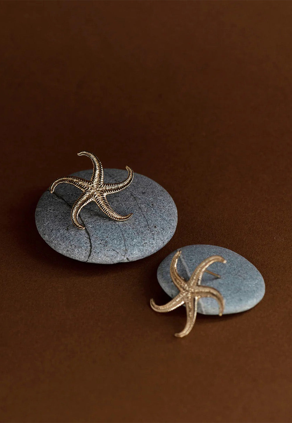 Starfish Earrings