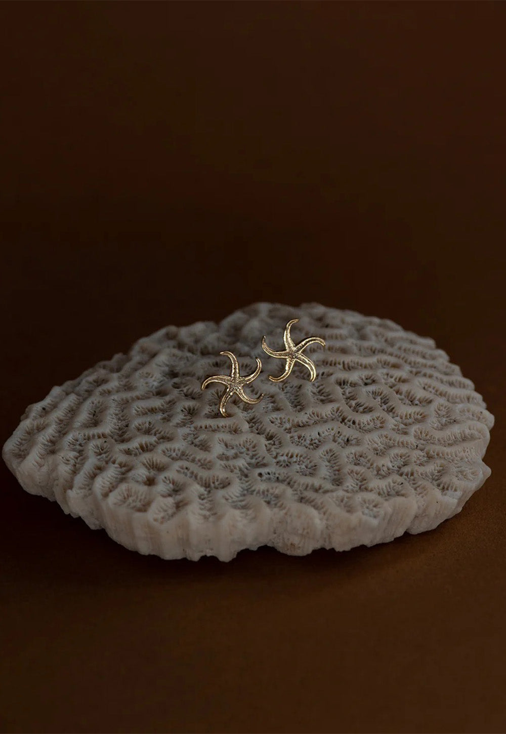 Starfish Studs