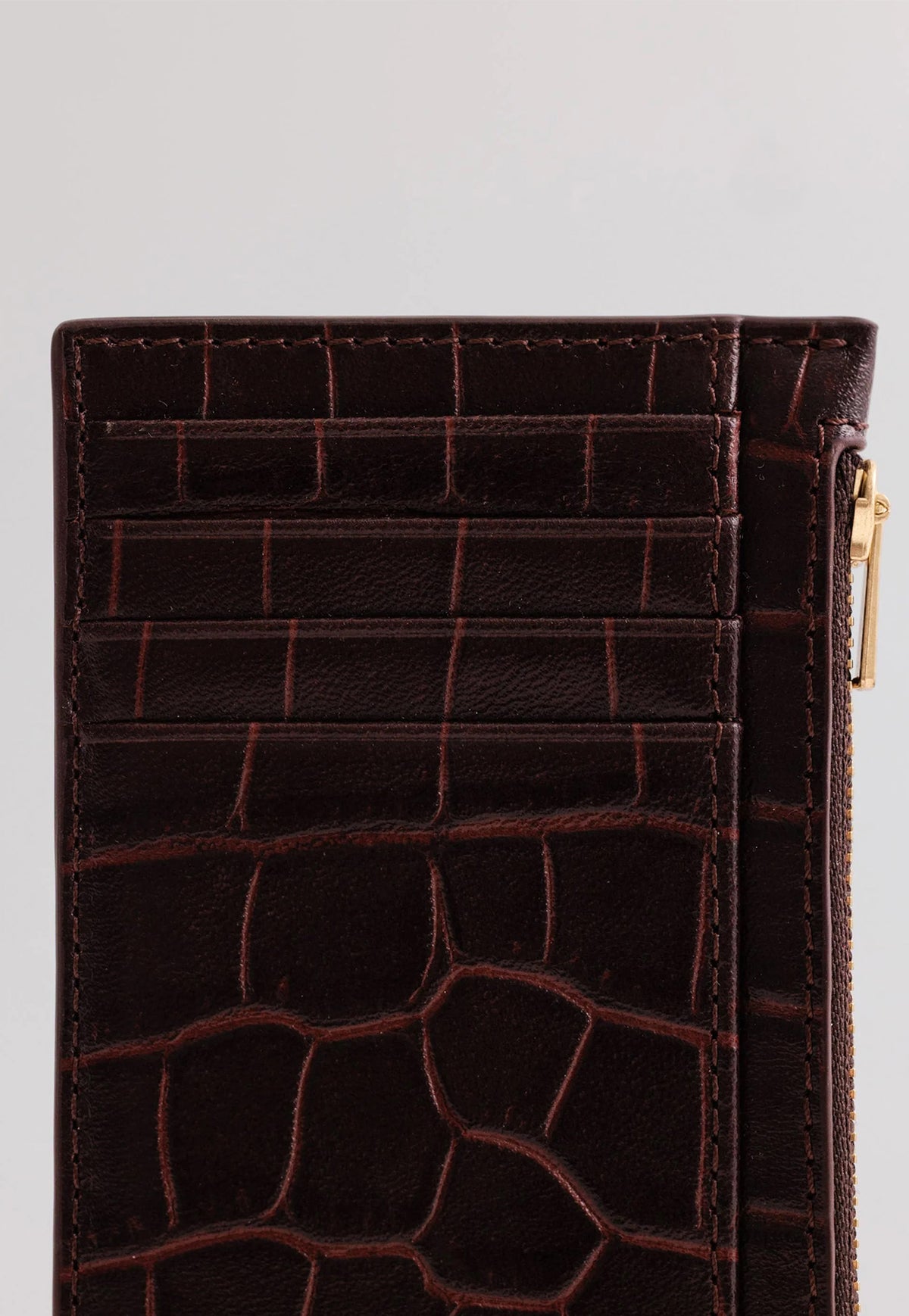 Frank Cardholder - Fire Croc
