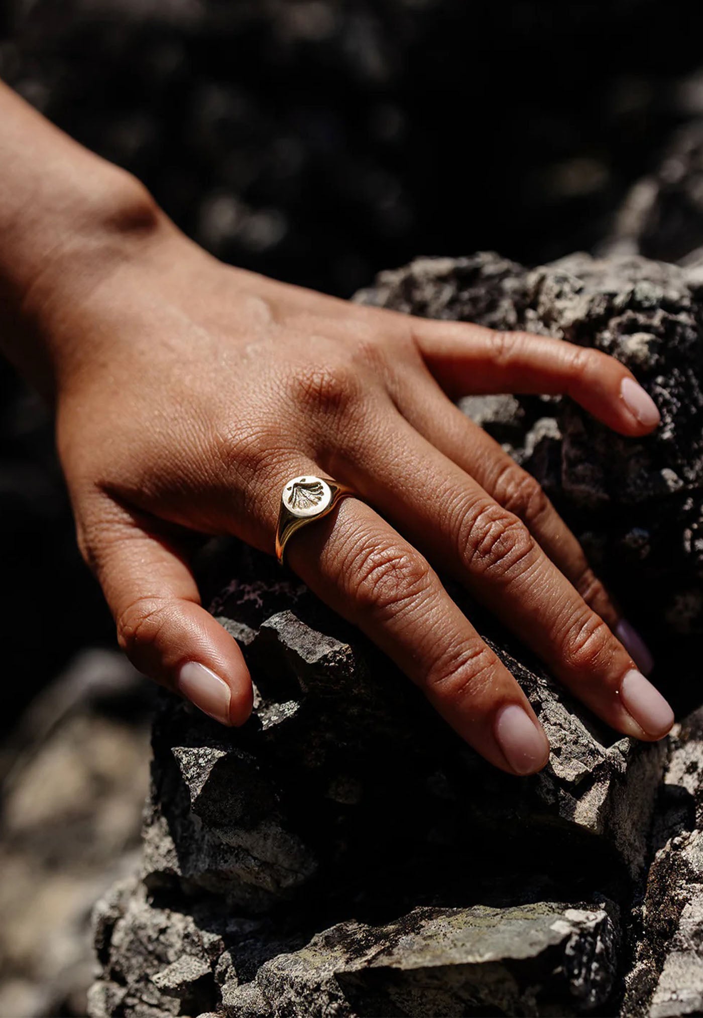 Secret Society of Shell Lovers Signet