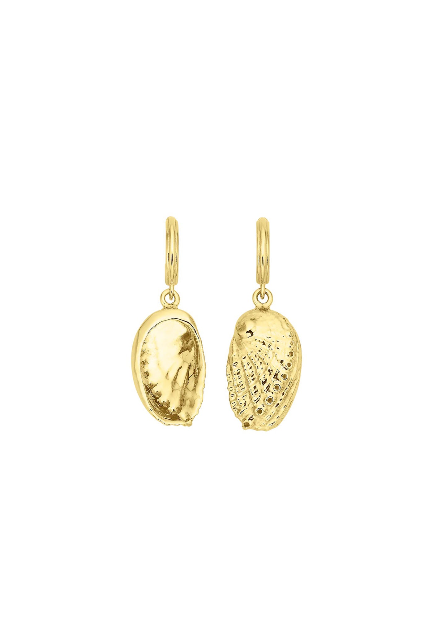 Soul Paua Earrings