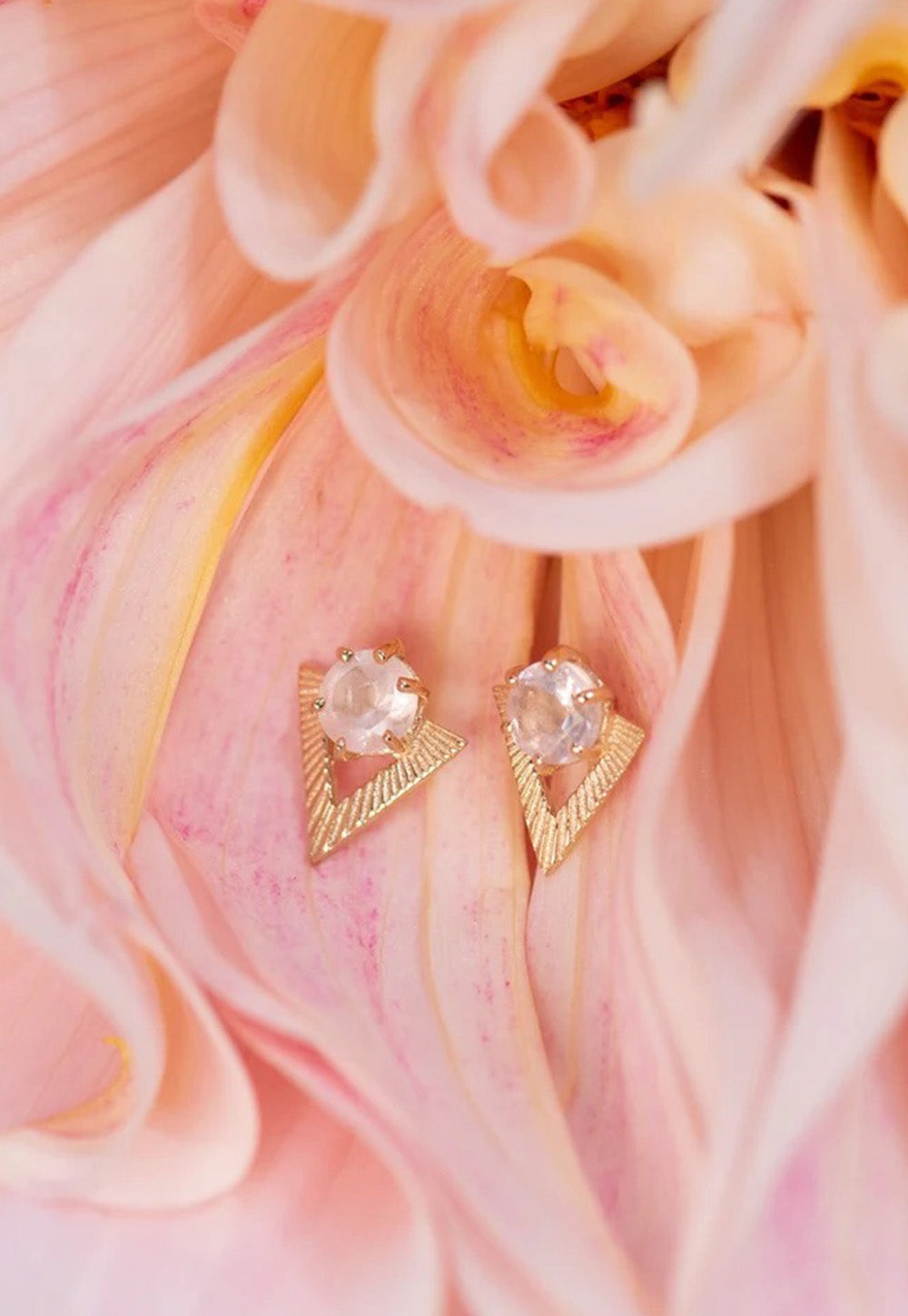 Violet Earrings