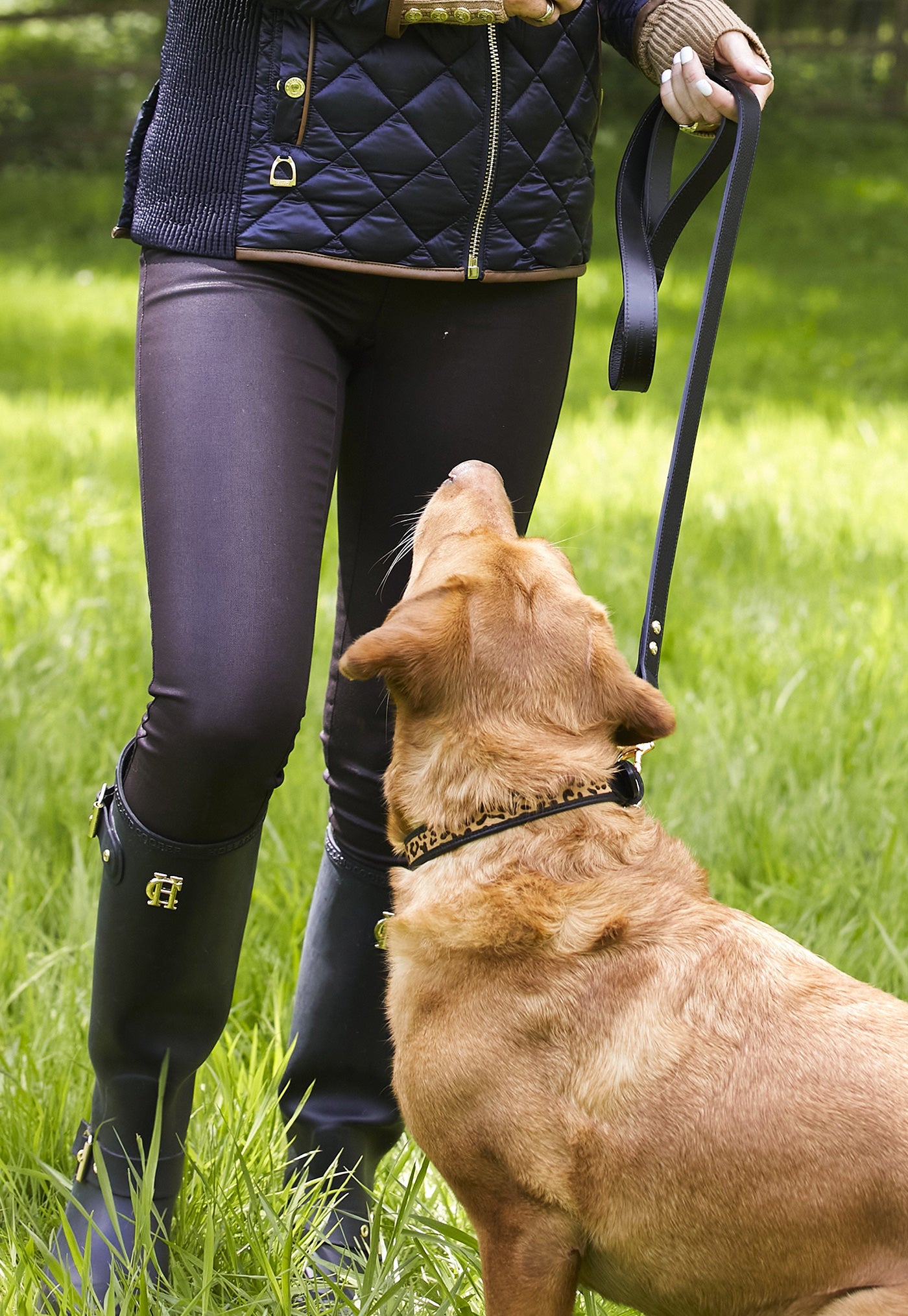 Classic Dog Lead - Black sold by Angel Divine